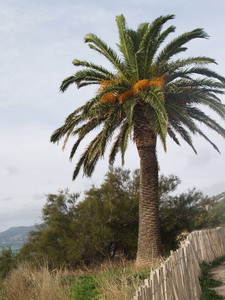 Agrandir l'image