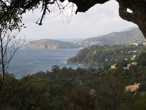 Agrandir l'image
