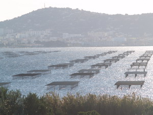 Agrandir l'image