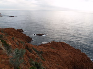 Agrandir l'image