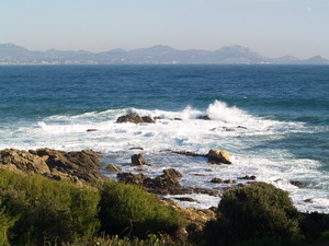 Agrandir l'image